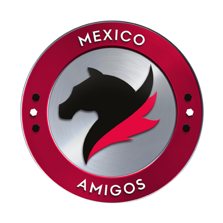 MEXICO AMIGOS