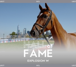 Hall of Fame: Explosion W